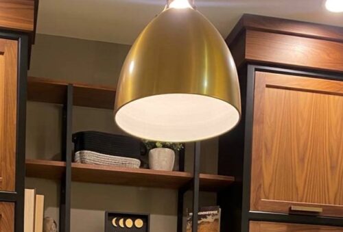 This is a picture of a Hinkley Lighting Argo single light fixture. 