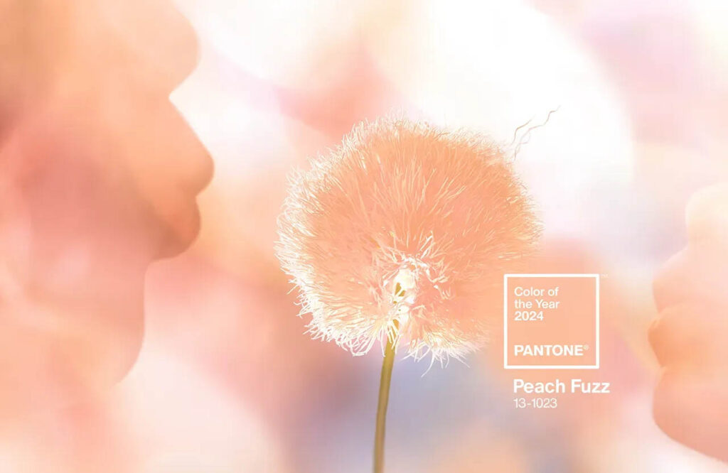 PANTONE 2024 Color of-the Year Peach Fuzz