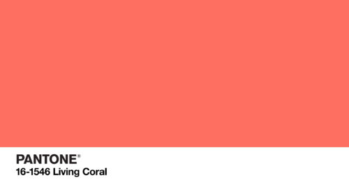 The Pantone Color of the Year is Living Coral which is a Vibrant Yet Mellow Shade