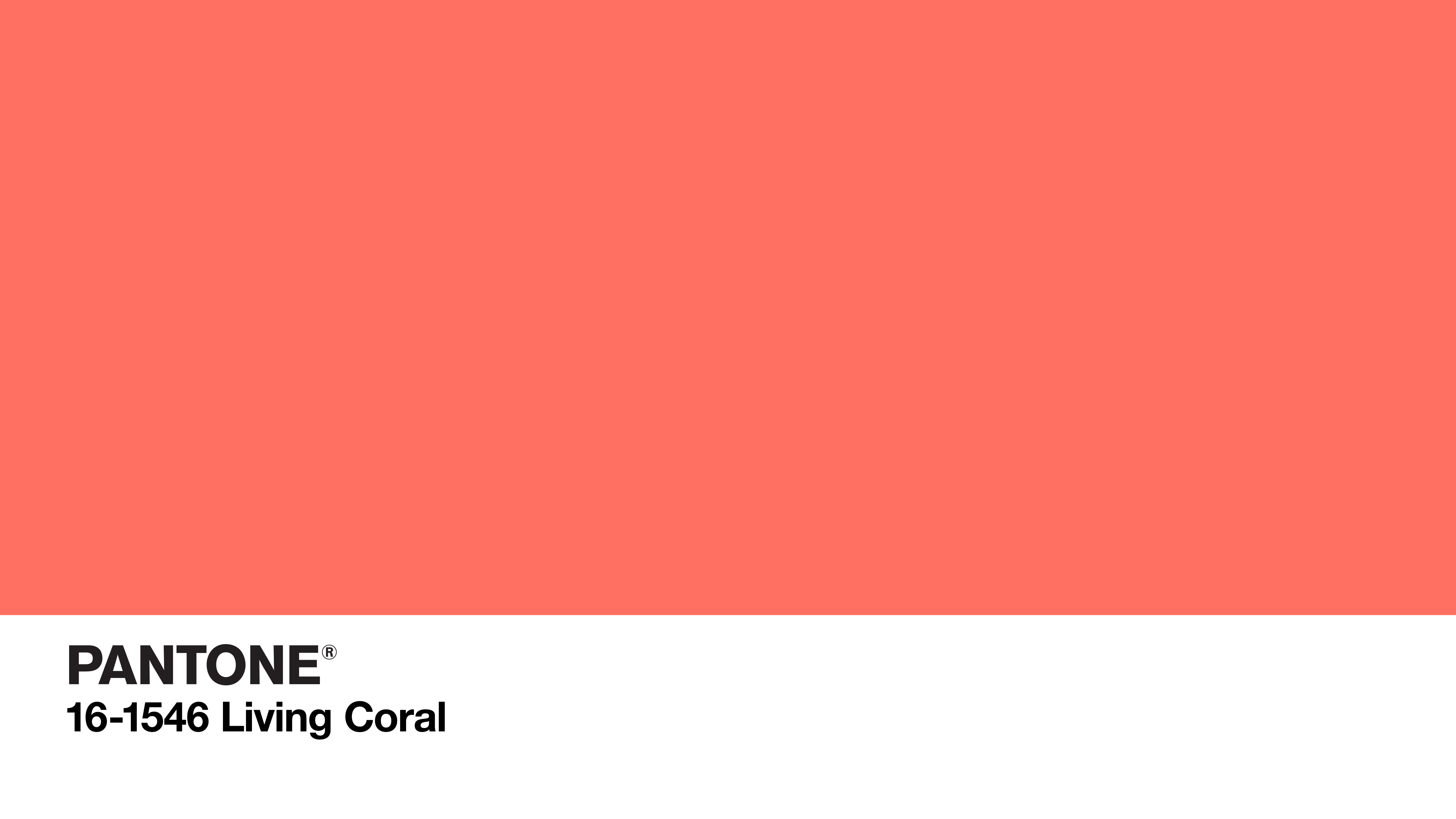 Pantone Color of The Year 2019: Living Coral