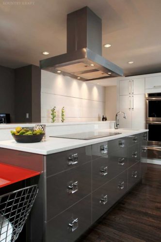high gloss cabinets are one of the popular kitchen cabinet ideas