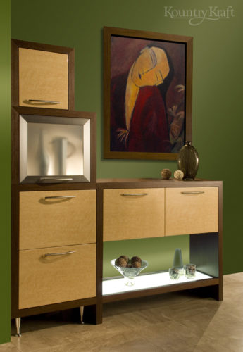 Modern Cabinets in Newmanstown, PA veneer wood with stainless accent