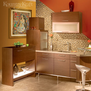 Modern Cabinets in Newmanstown, PA