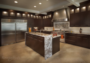 Modern Wenge Cabinets in Vienna, VA