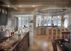 Modern Wenge Cabinets in Vienna, Virginia
