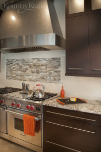 Modern Wenge Cabinets in Virginia
