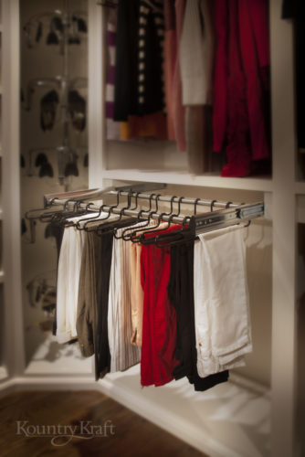 Hafele Pant Rack Pullout for a closet in Bethesda, MD